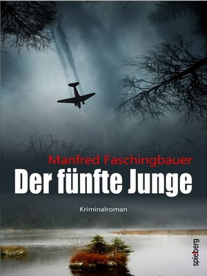 cover image of Der fünfte Junge